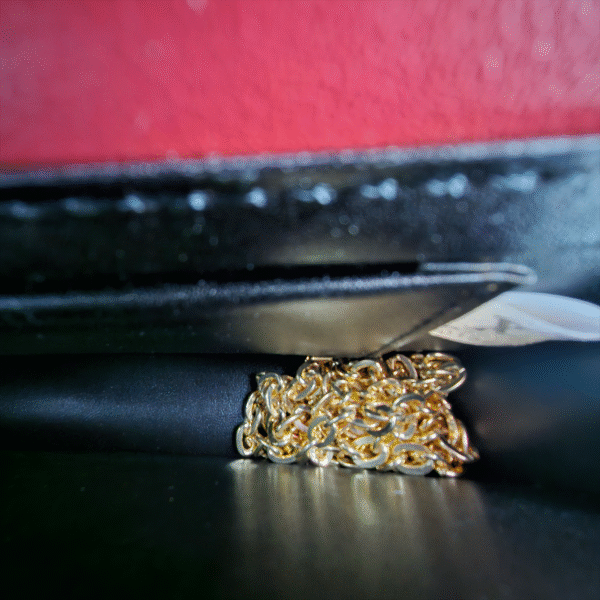 Red Accent Flap Wallet (DAA)