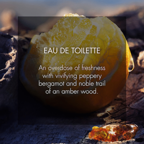 Sauvage5 Dior Sauvage Eau de Toilette (EDT)